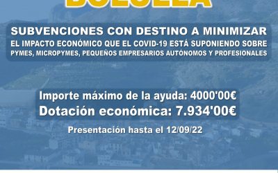 Nuevas AYUDAS Covid-19 BOLULLA