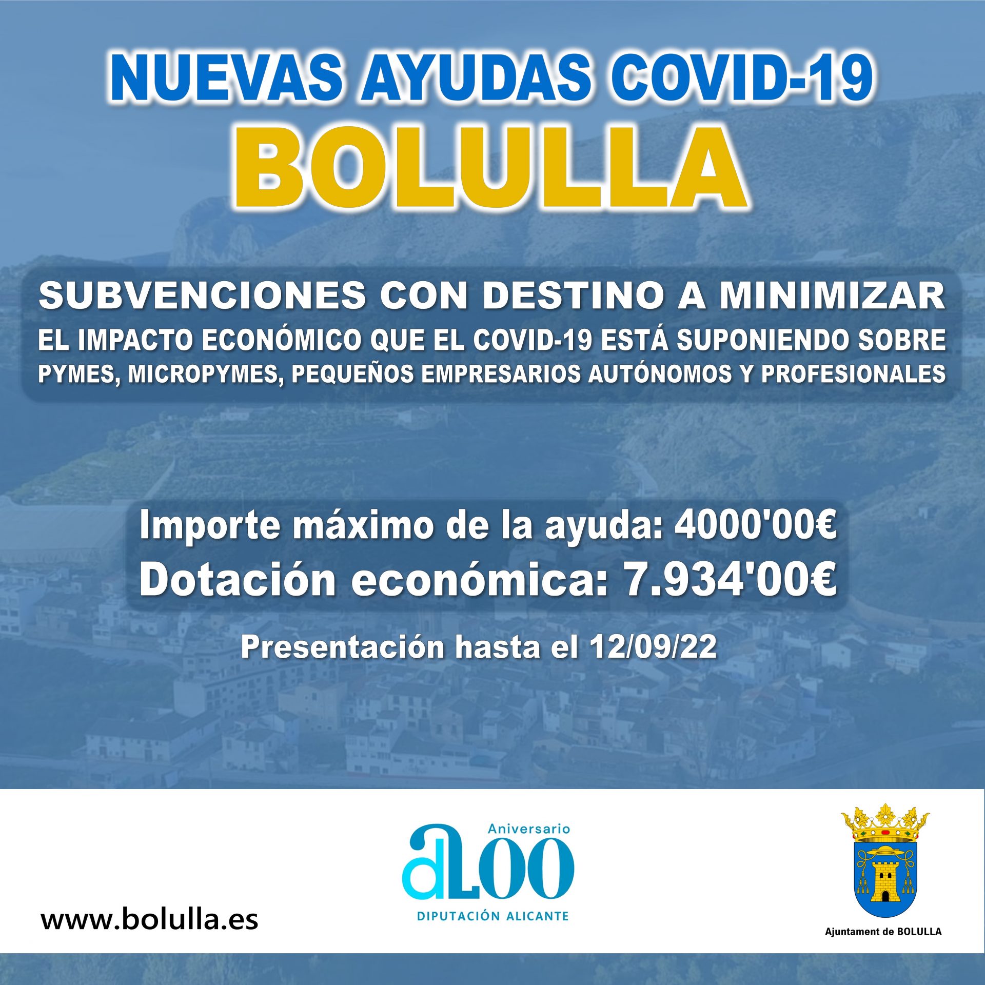 cartel ayudas covid 19