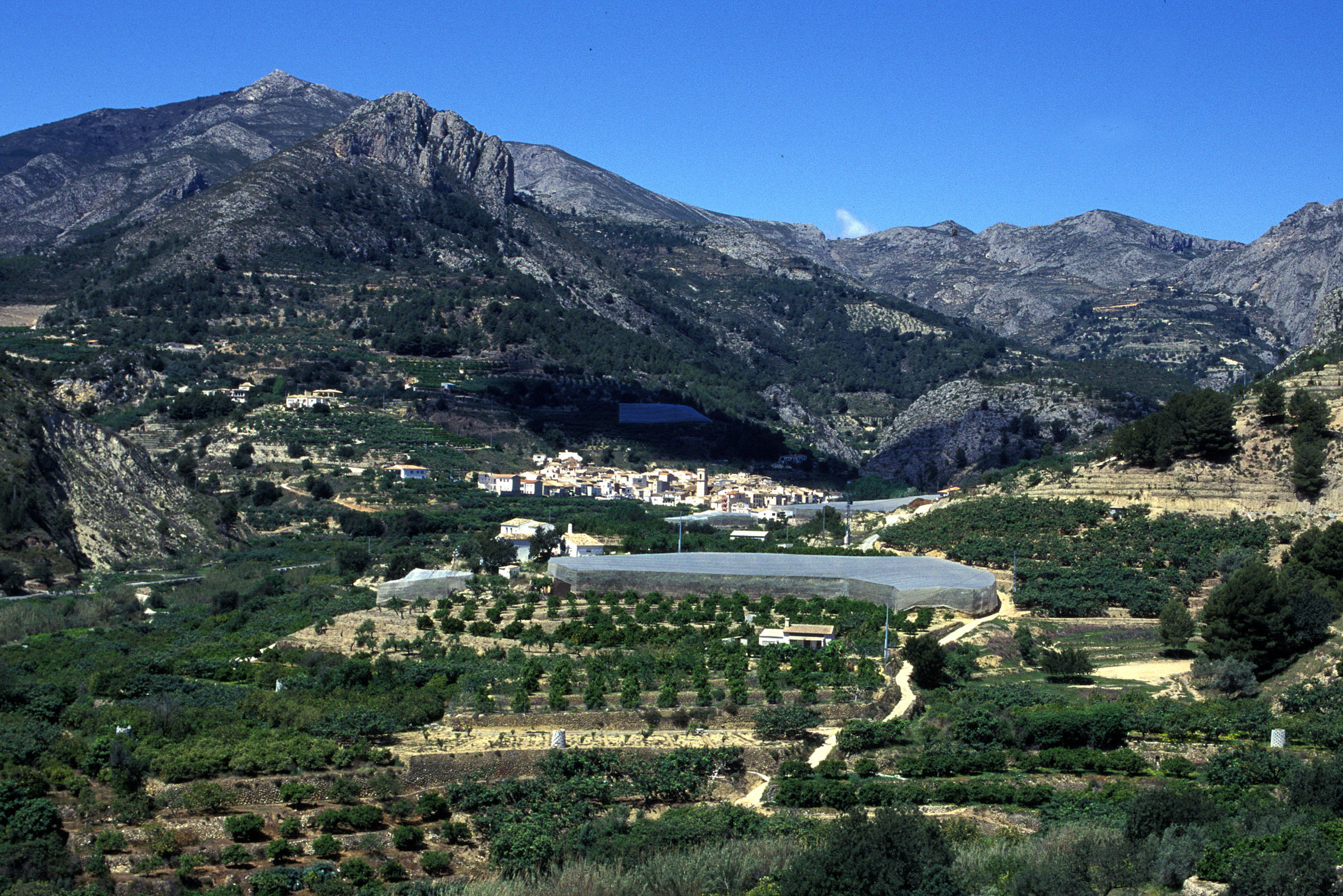 Bolulla vista