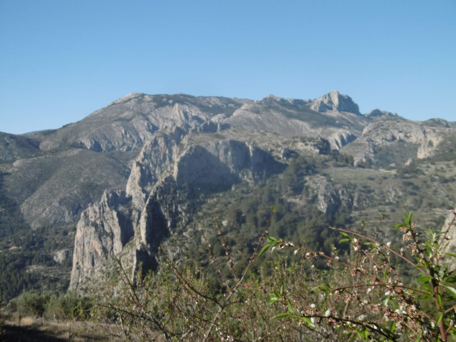 Bolulla