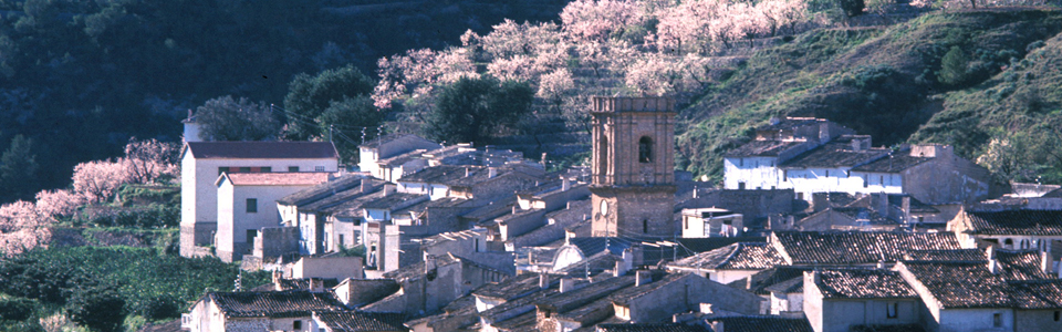 panoramica2